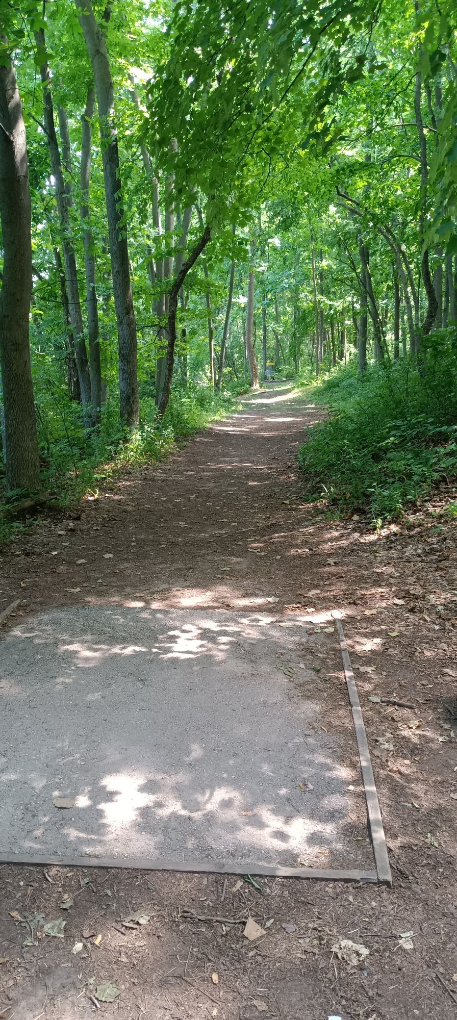 Hole 3