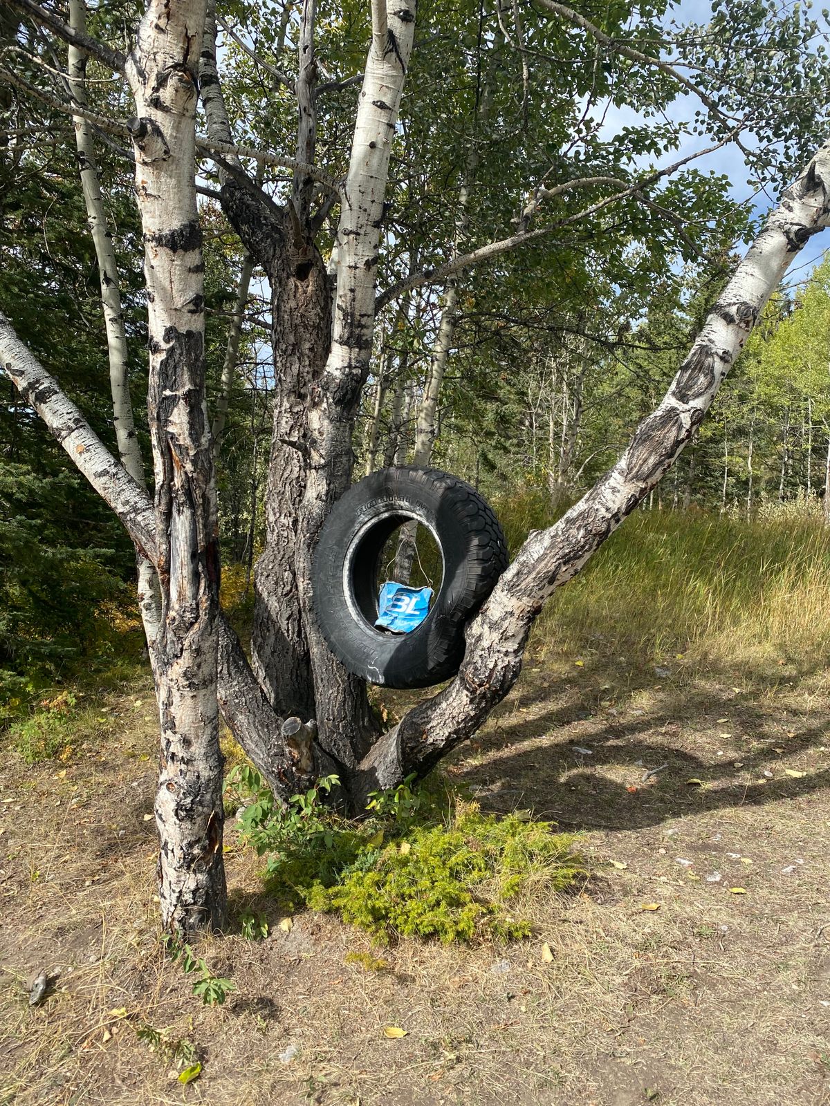 Hole 5 Basket