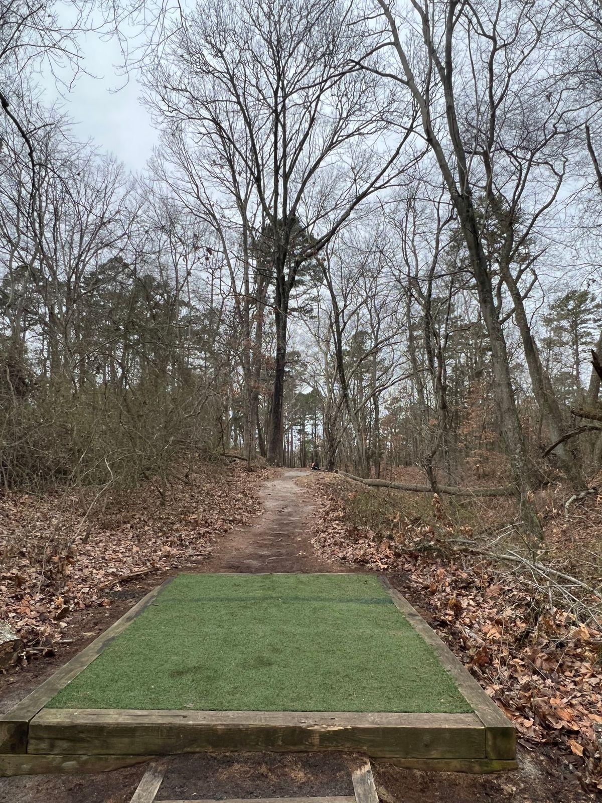 Hole 12 Long tee