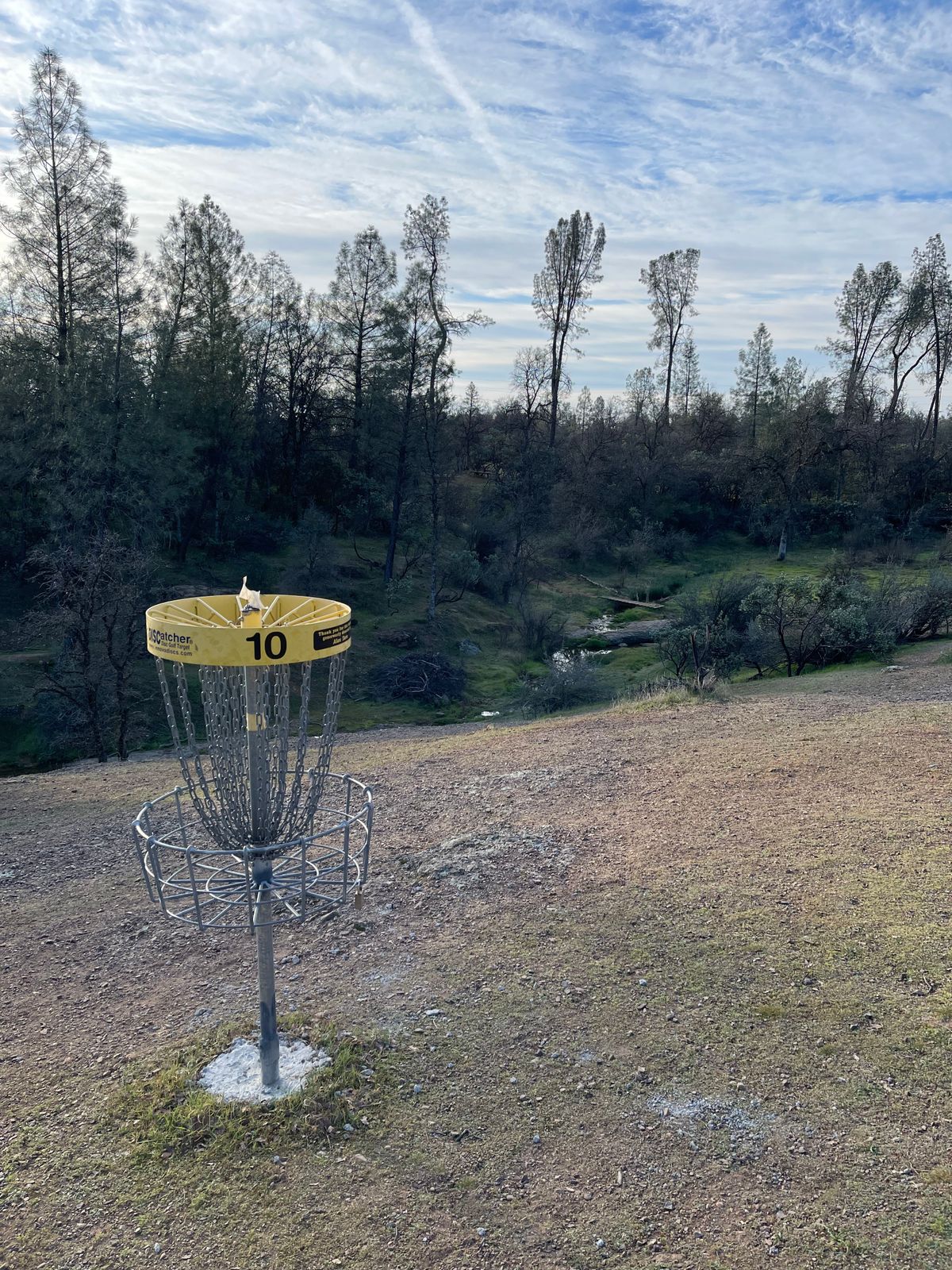 Hole 10 looking back to the tee pad