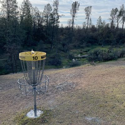 Hole 10 looking back to the tee pad