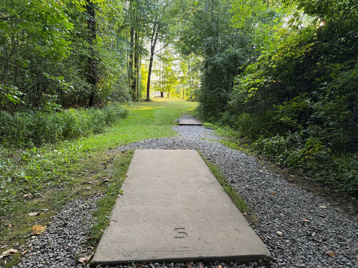 Hole 5 Tee