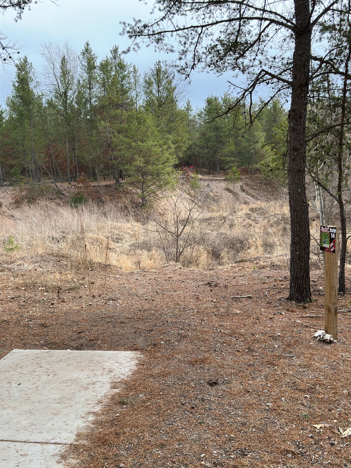 Hole 14 (slight hyzer, roughly 200 to make the pit)