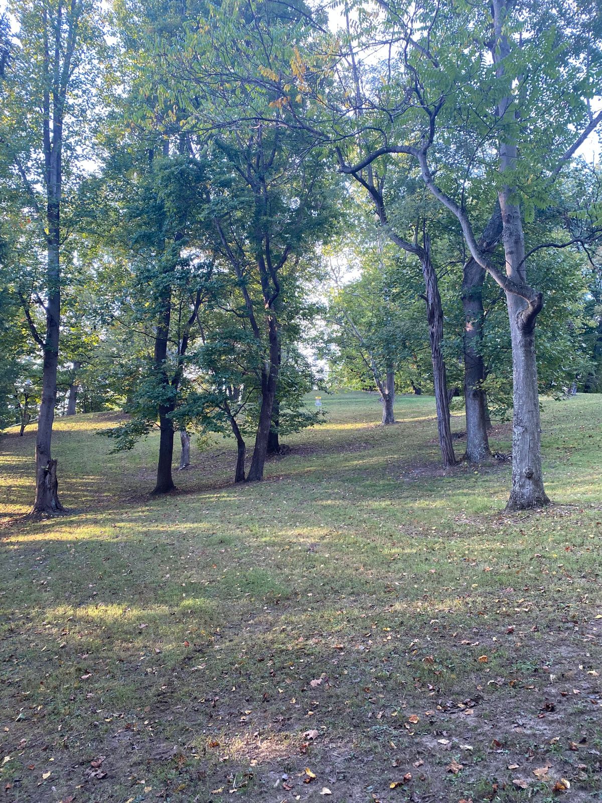 Hole 4
