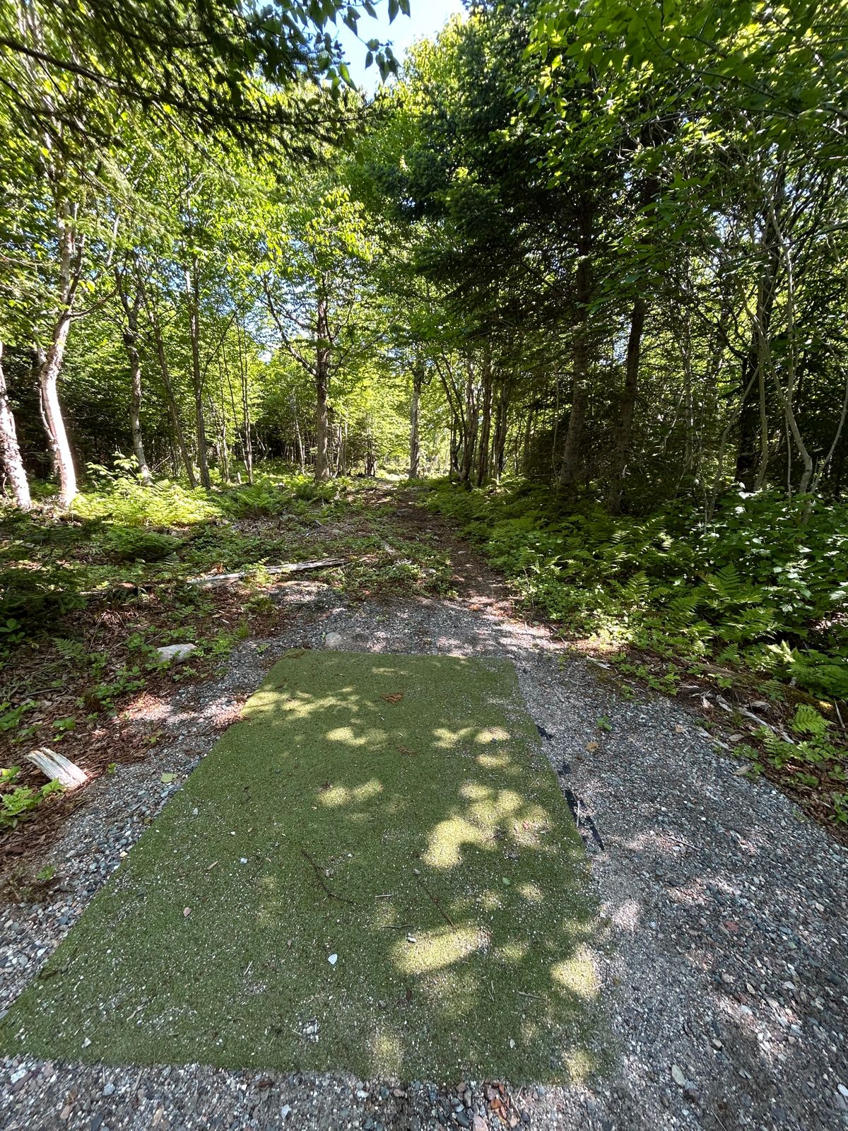 7 White fairway.