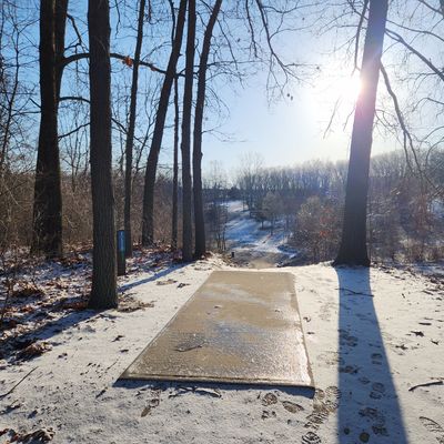 Hole 1 - ice coated treeline & pad - standstill & rip