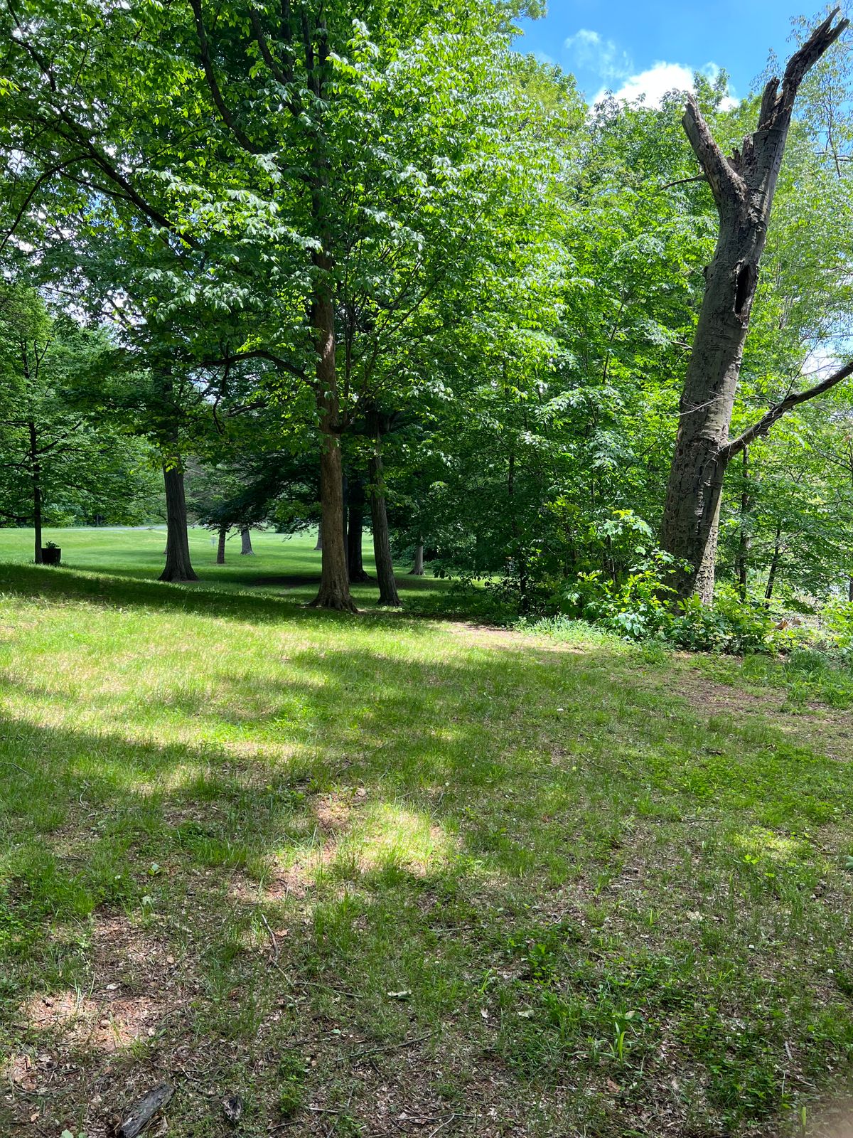 Hole 4 Yellow Tee