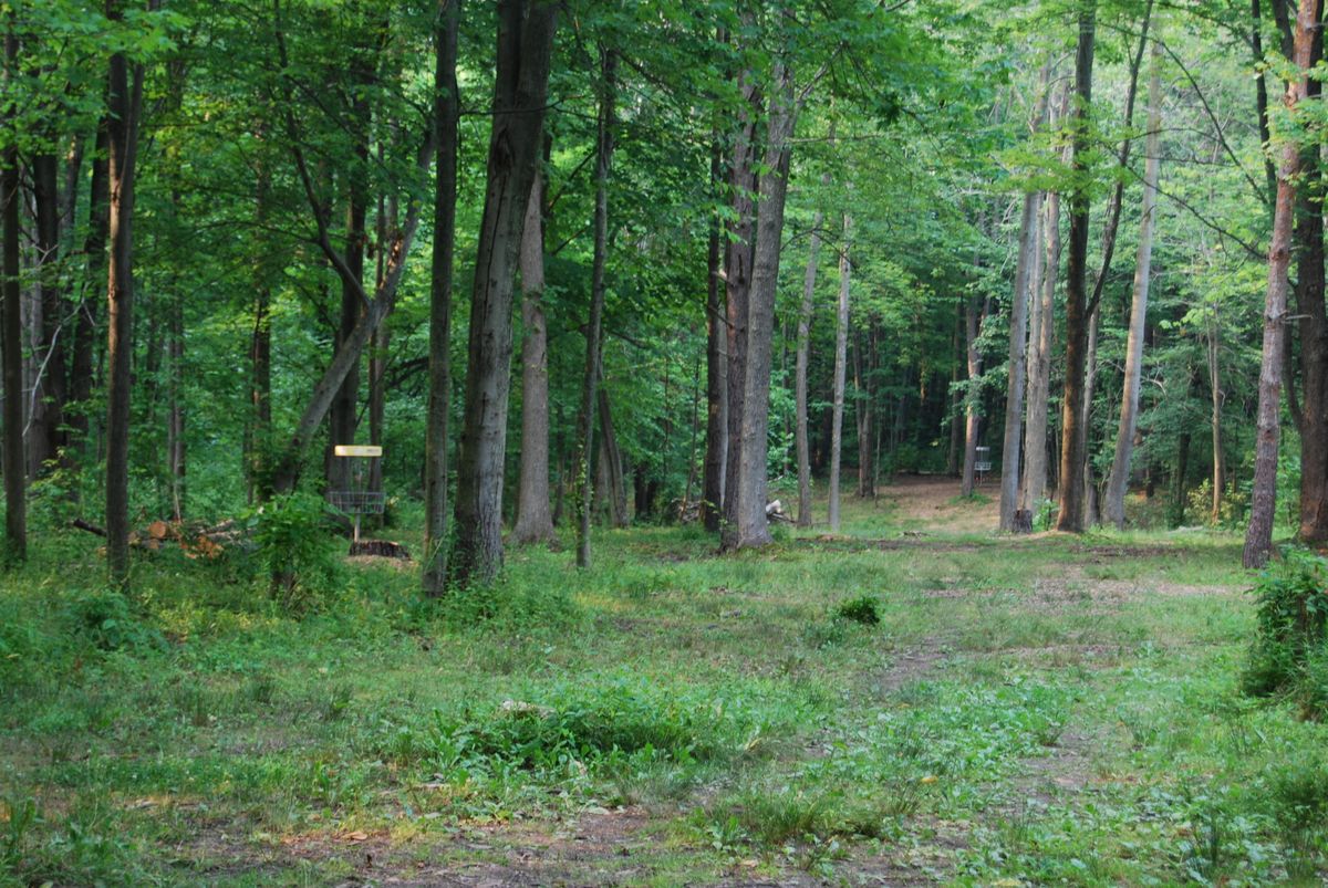 Hole 17 Short pin position looking from landing zone 