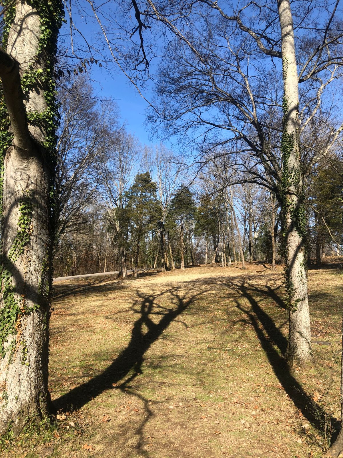 Hole 9