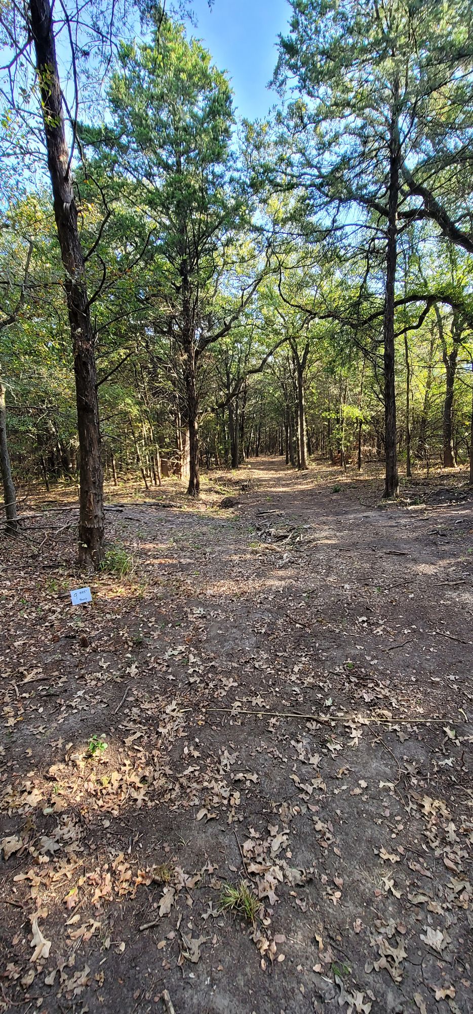 Hole 9 short tee