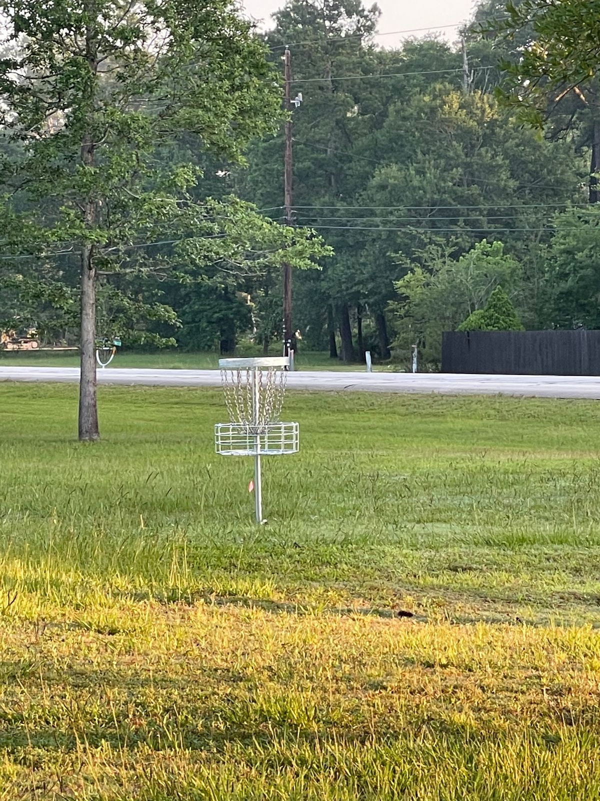 Hole 5 Basket