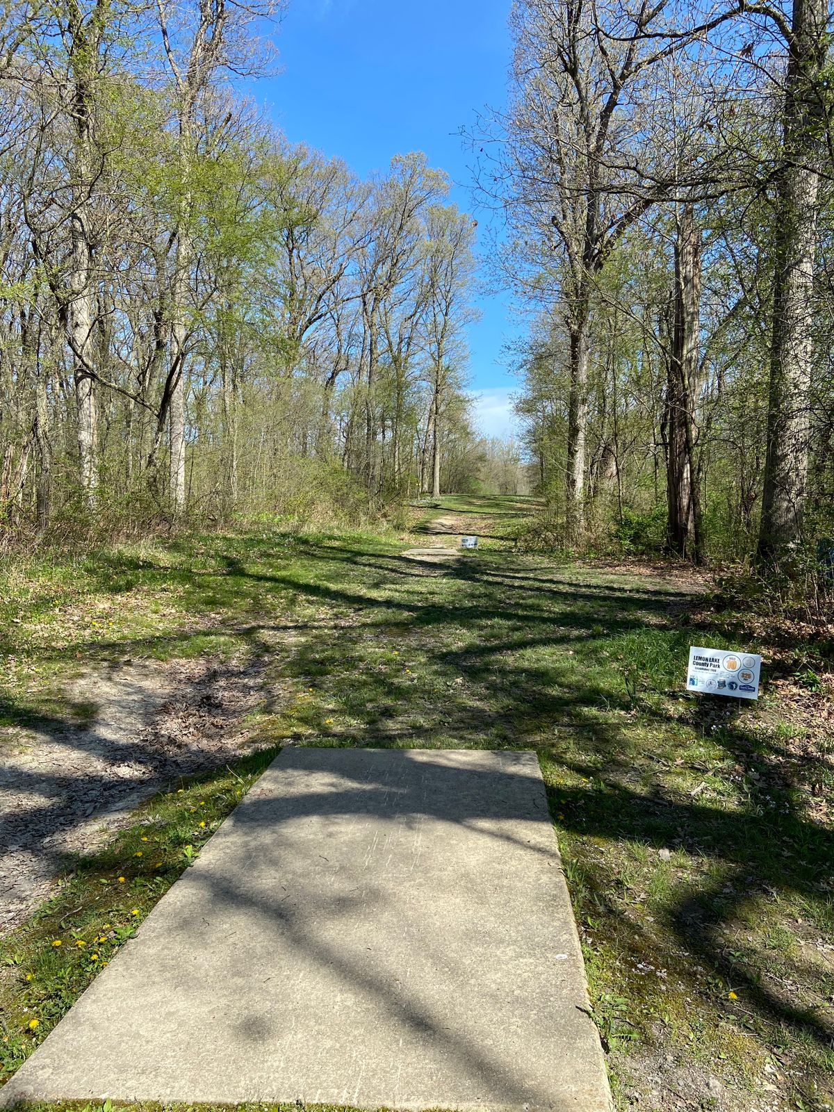 Hole 10. 299 feet uphill. Pin is on the left after the trees.