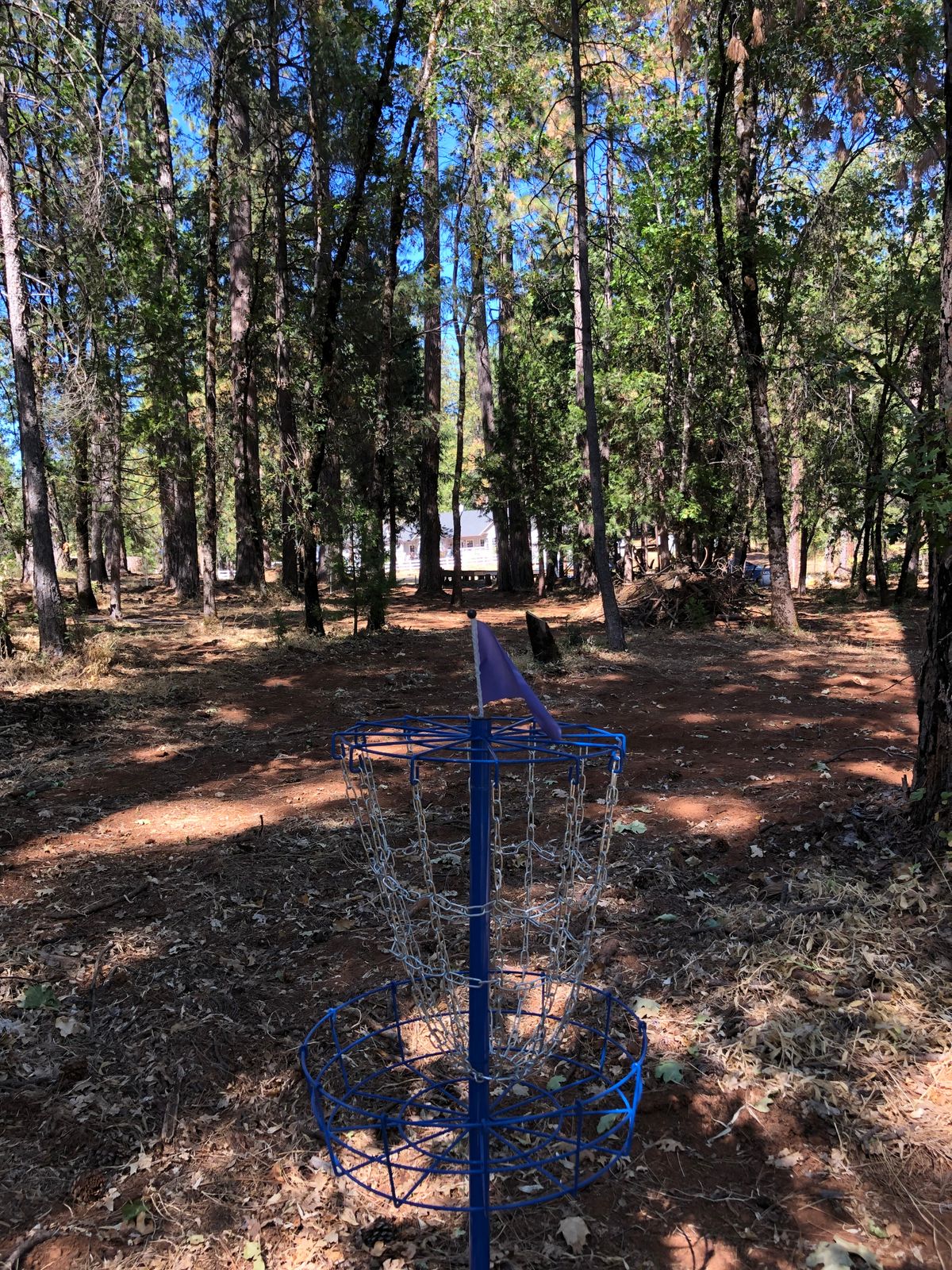 Basket 15