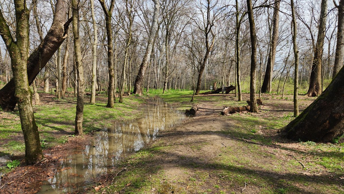 Hole 6/15, between storms.