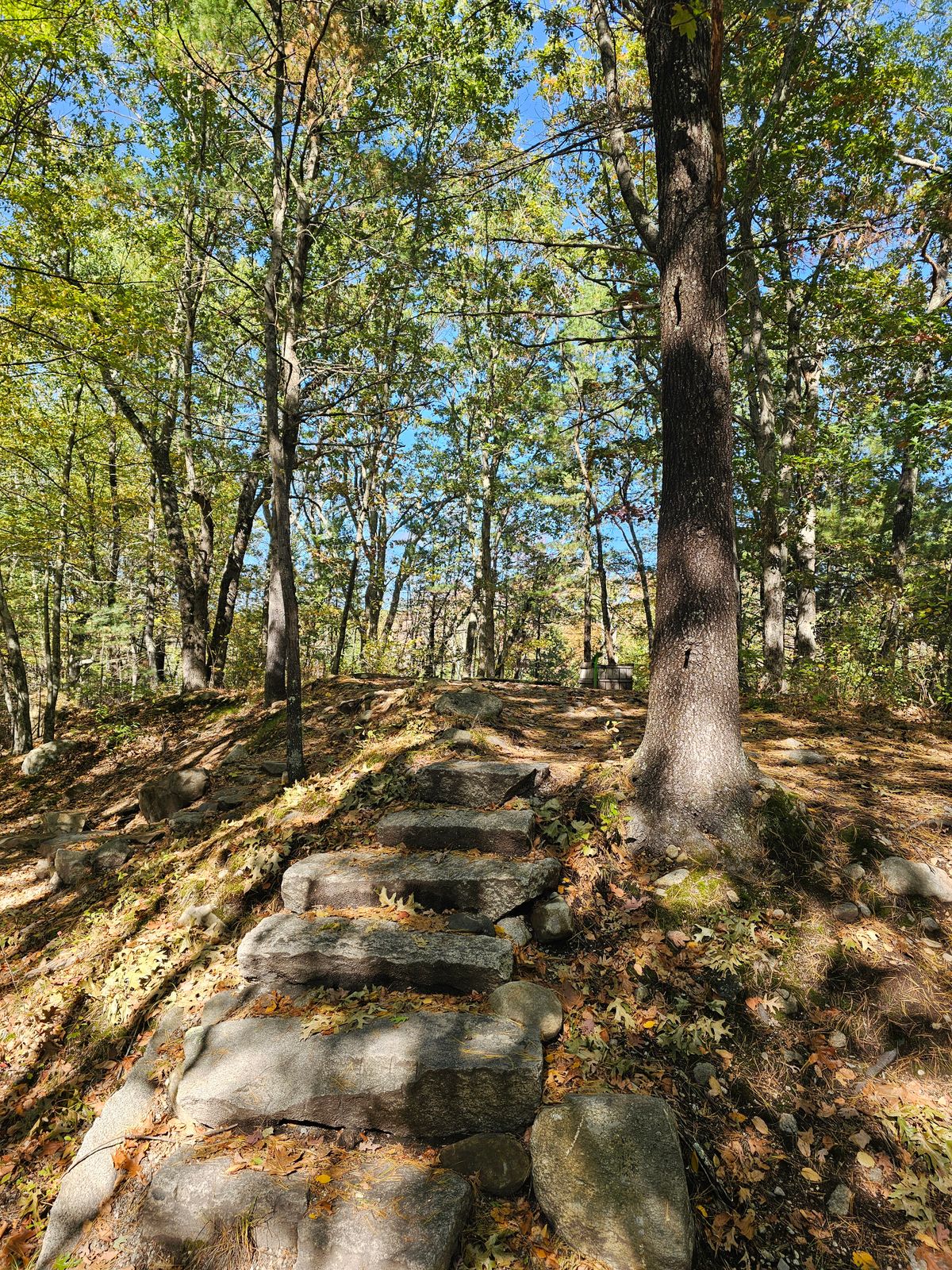 Stairs up to tee pad 9.