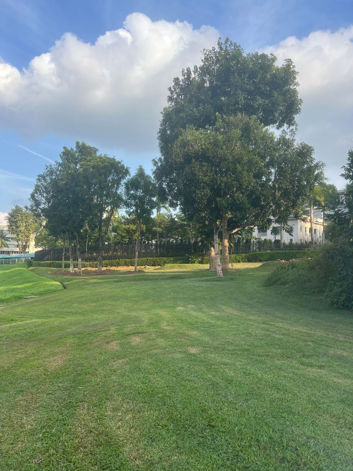 Hole 6 initial landing zone, looking back at the tee.