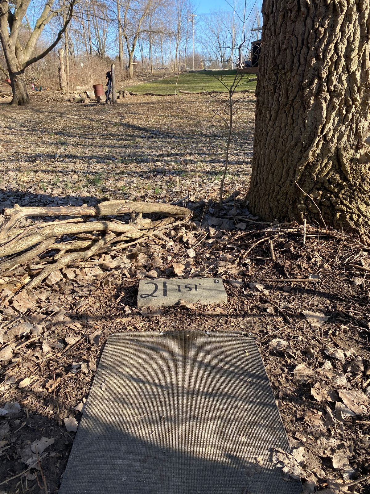 Hole 21