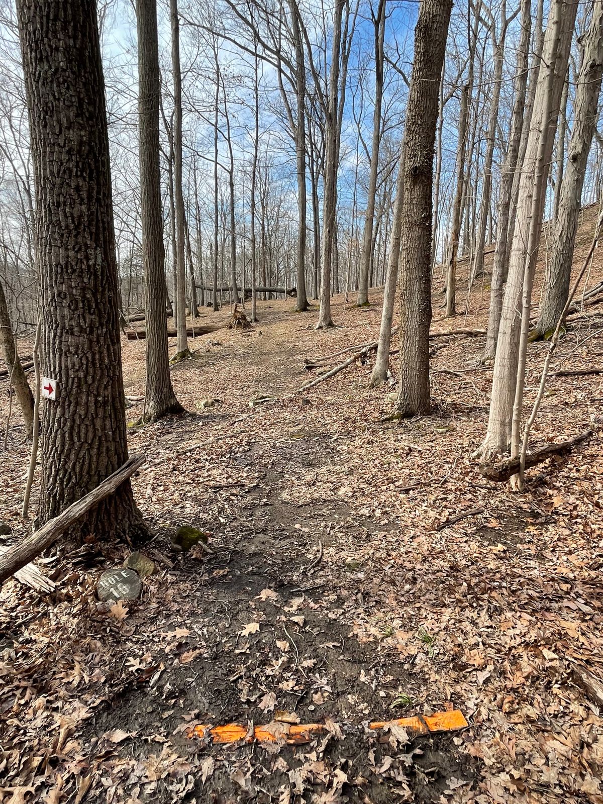 Hole 16 (Teebox, long dogleg right)