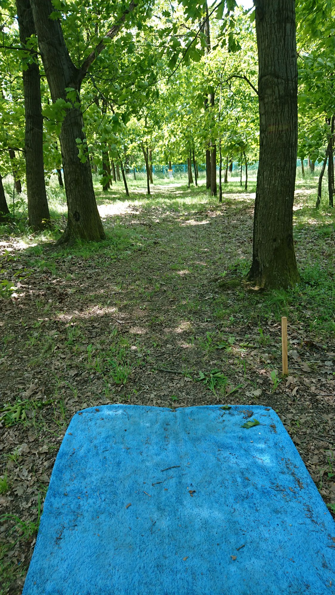 Hole 4