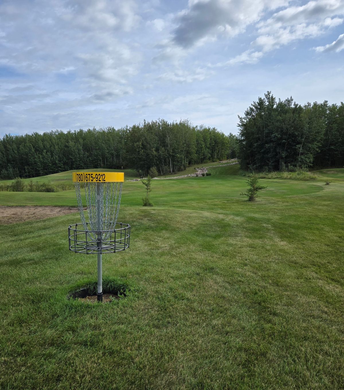 Hole 17 Basket. Looking toward Rocky Lane