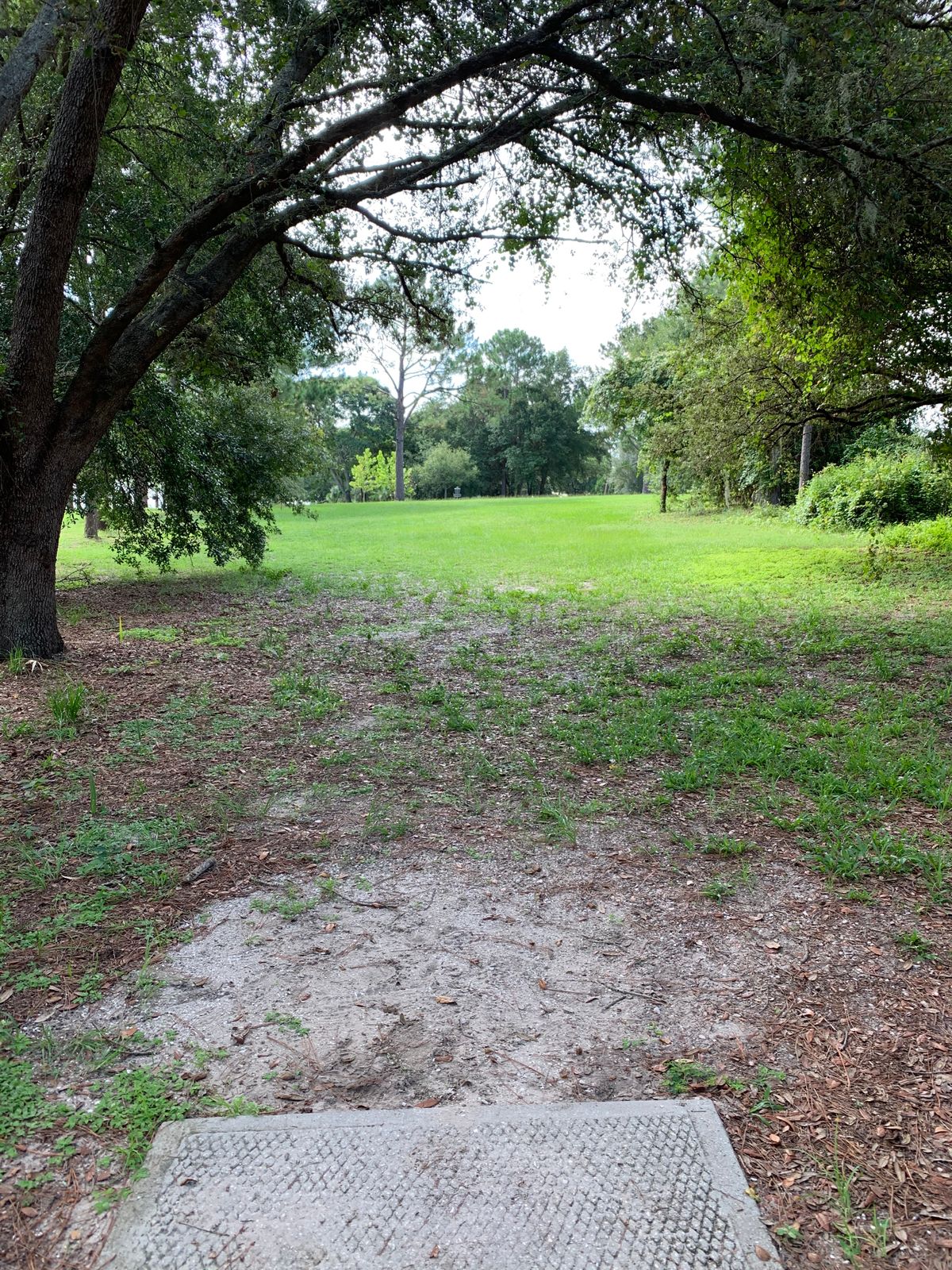Hole 12