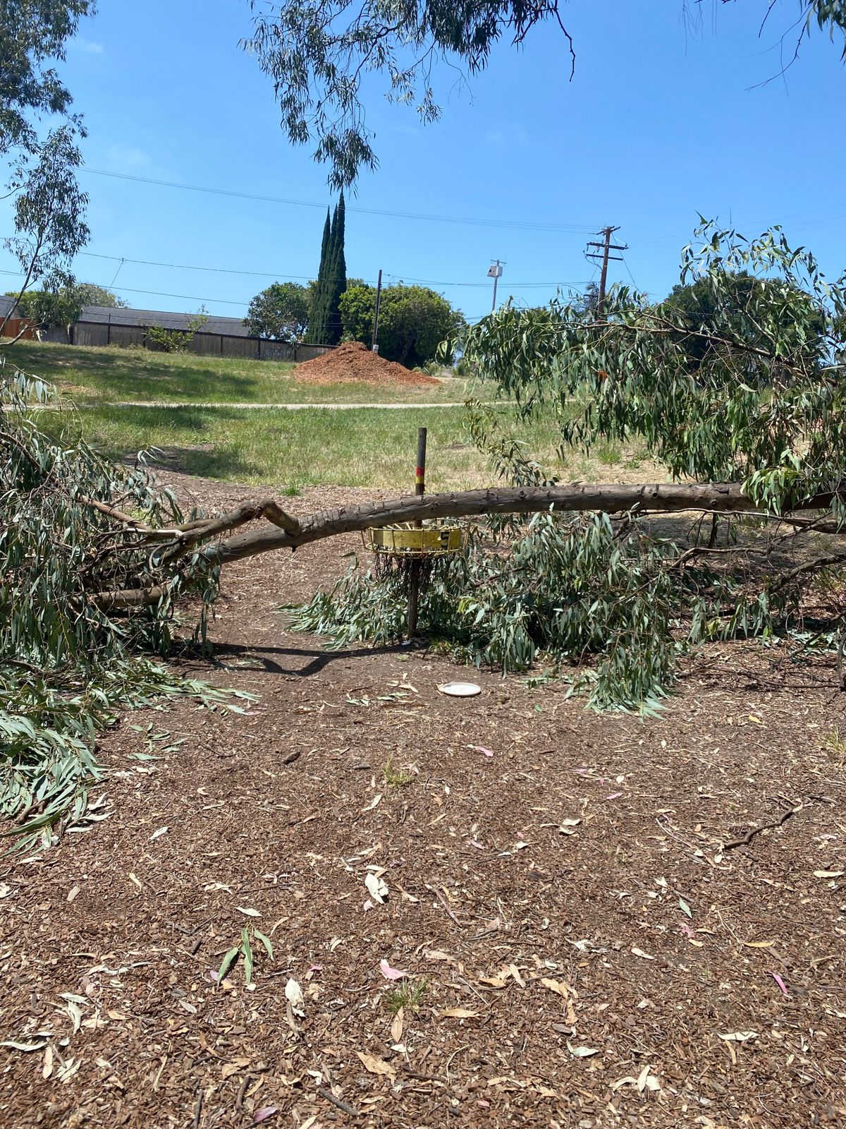 Hole 5 06/03/23