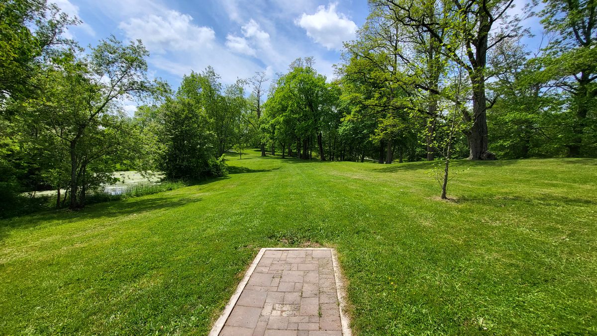 #7 blue tee