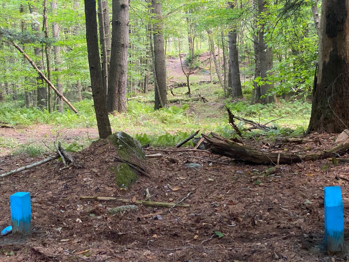 Hole 5 tee box