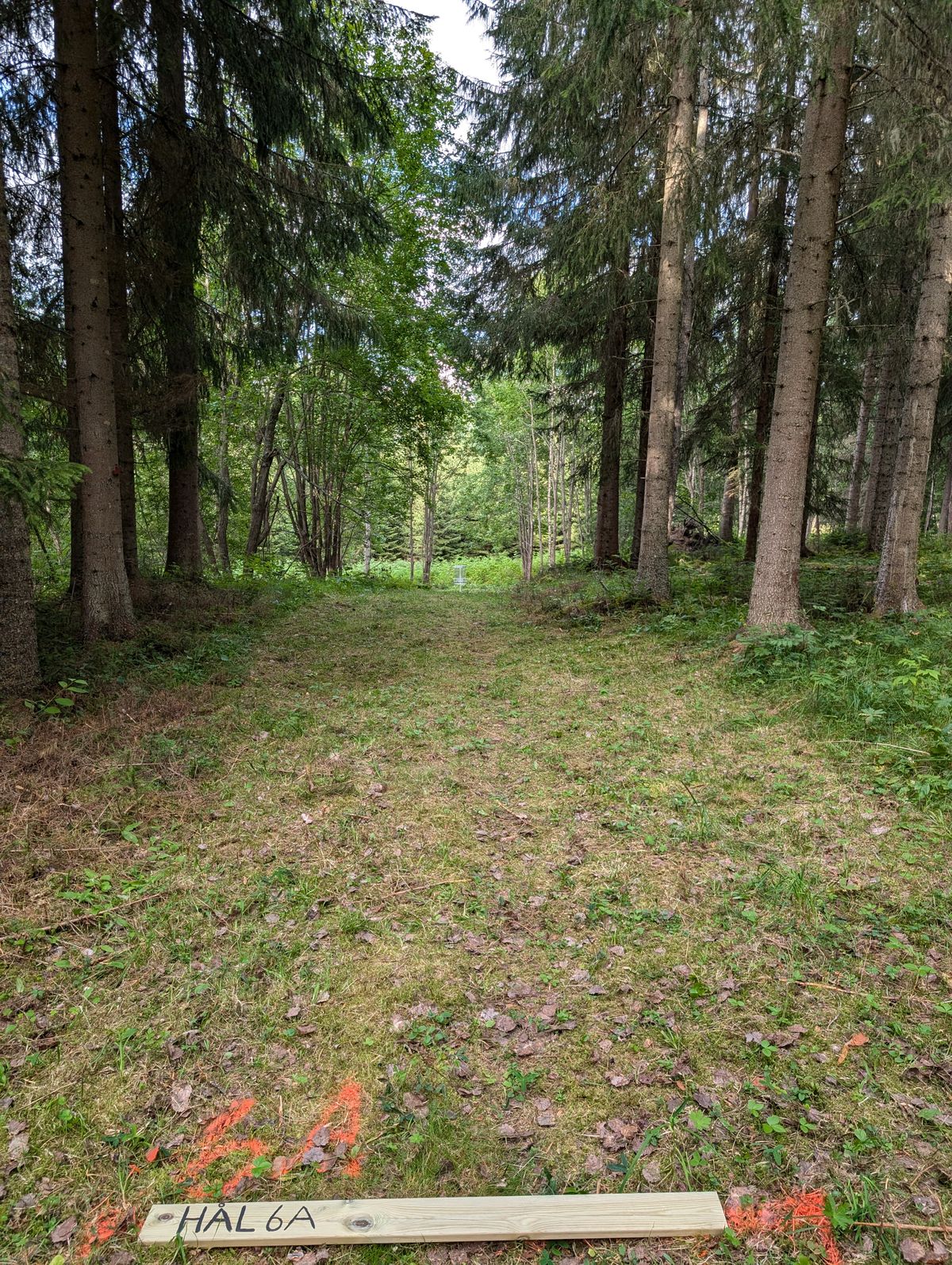 Utkast hål 6A