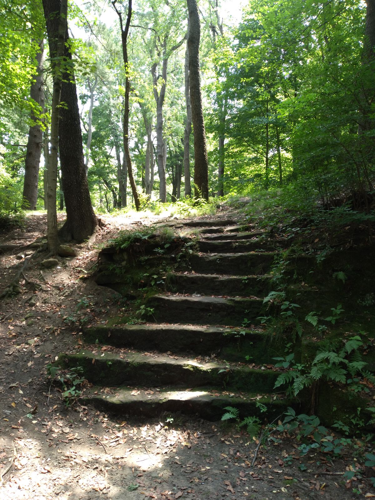 Natural Staircase