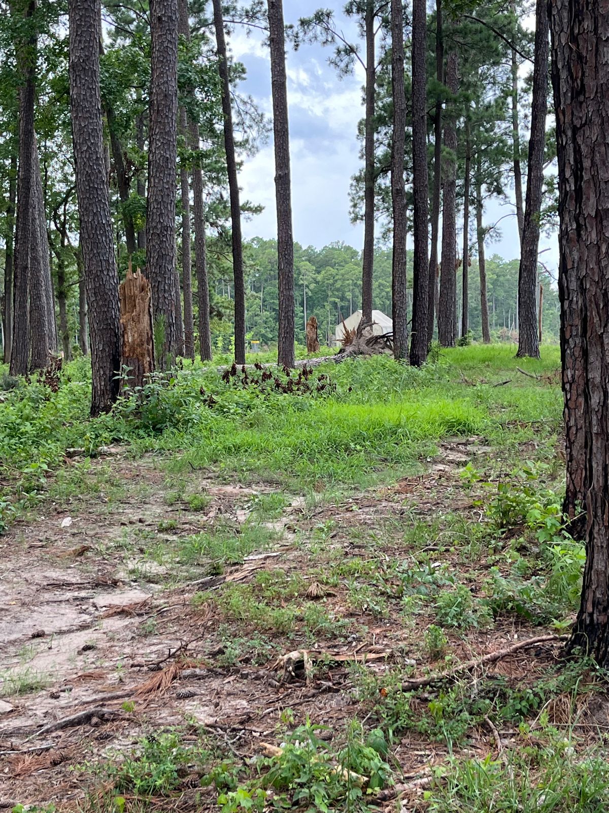 Hole 6 basket. Don’t throw there!