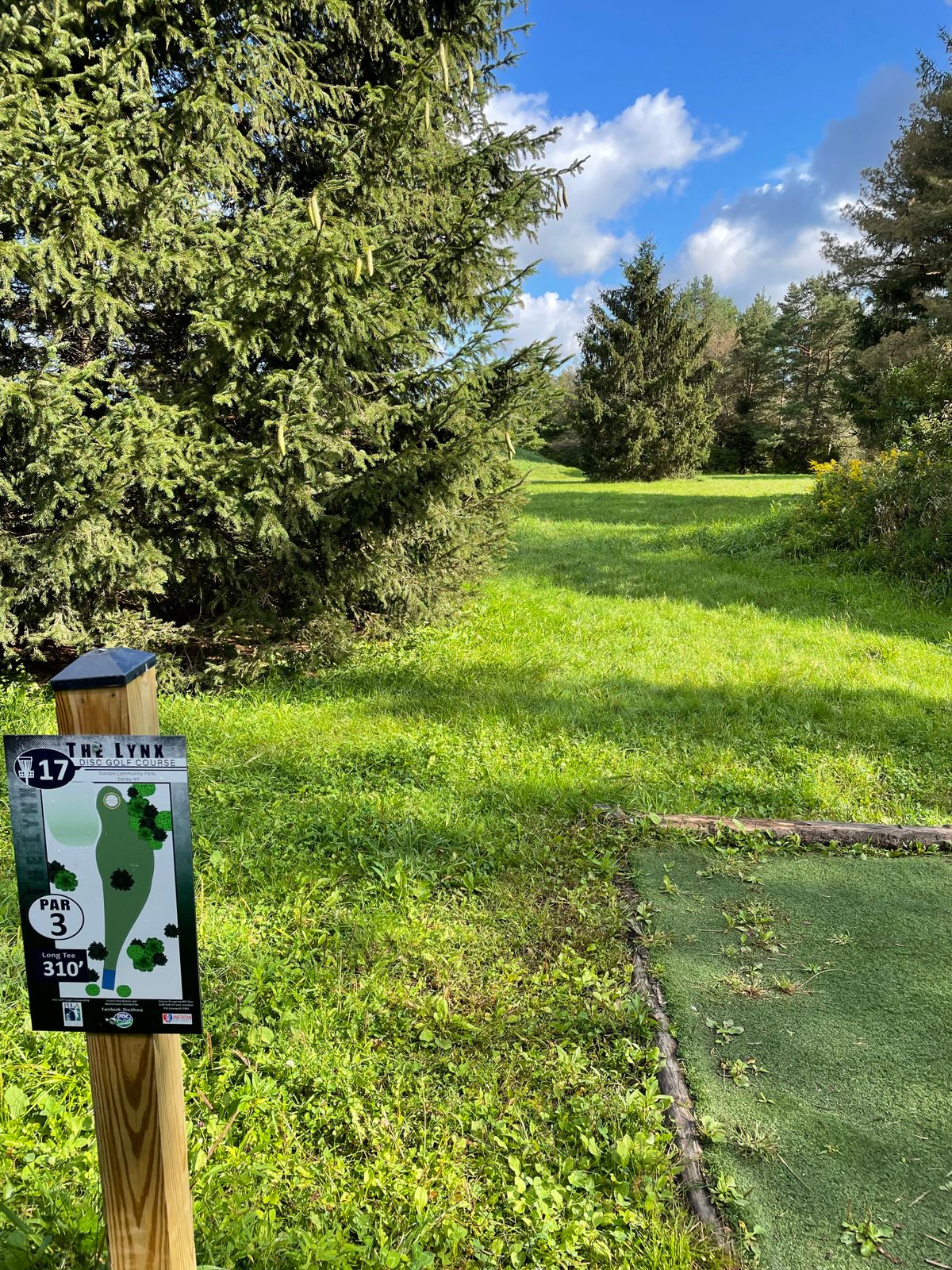 Hole 17, Blue (Long) tee. 