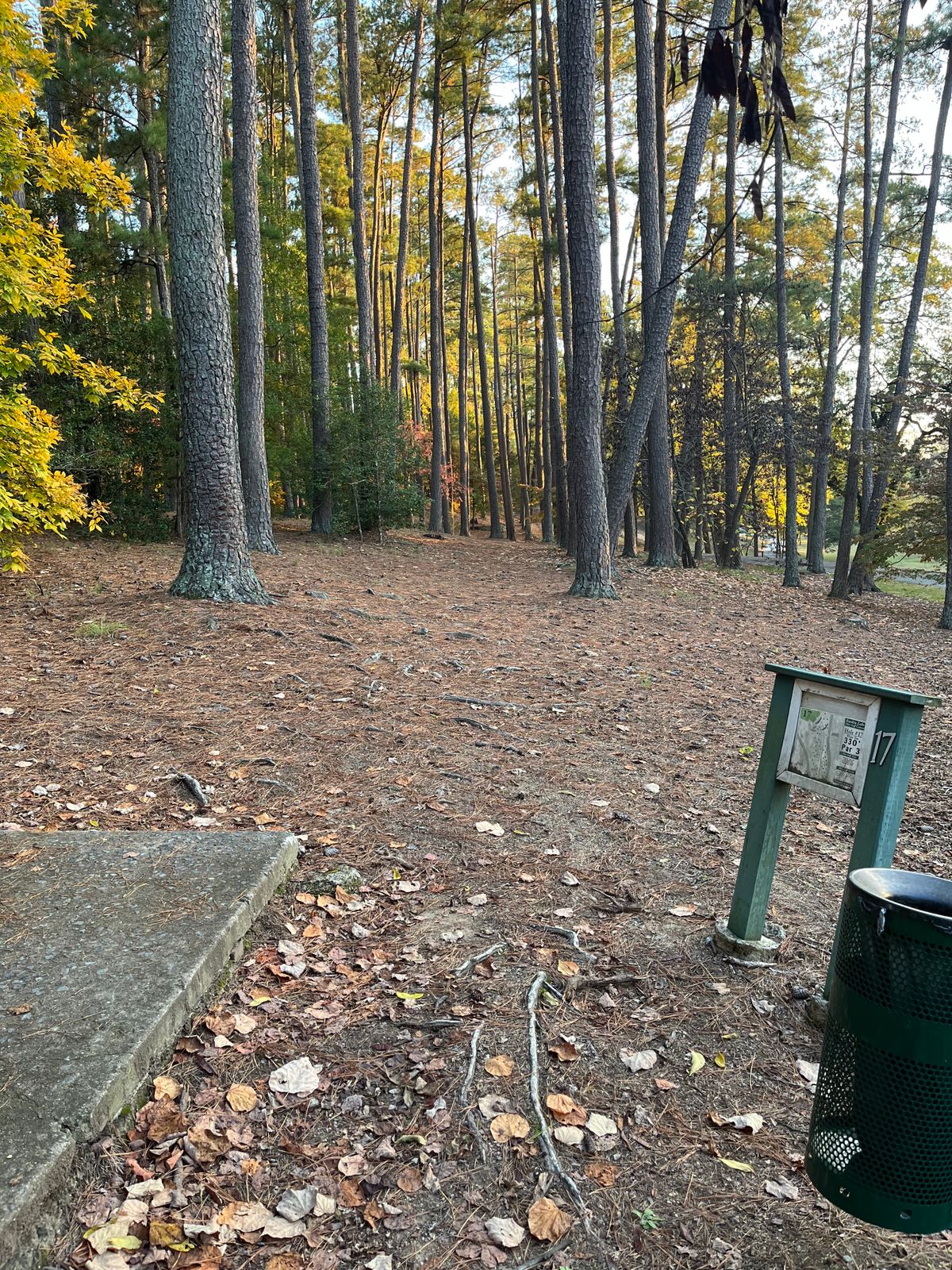 Hole 17 tee