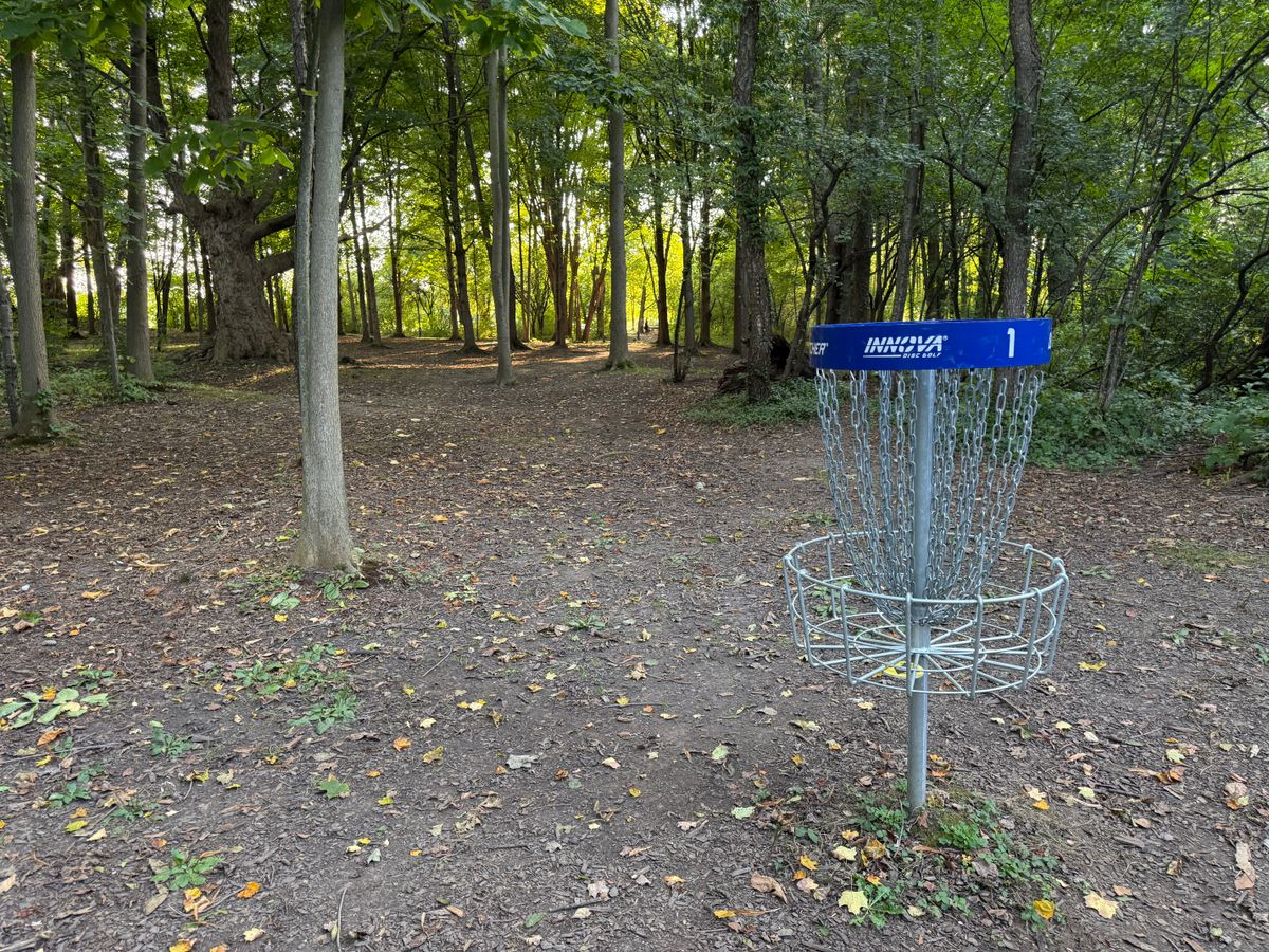 Hole 1 Basket to Tee