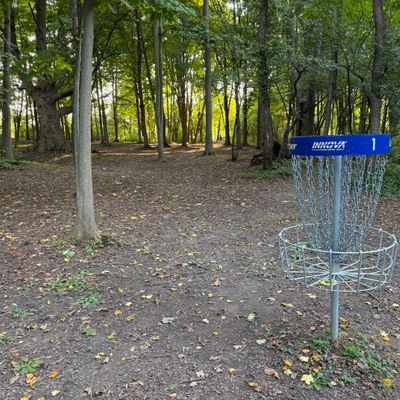 Hole 1 Basket to Tee