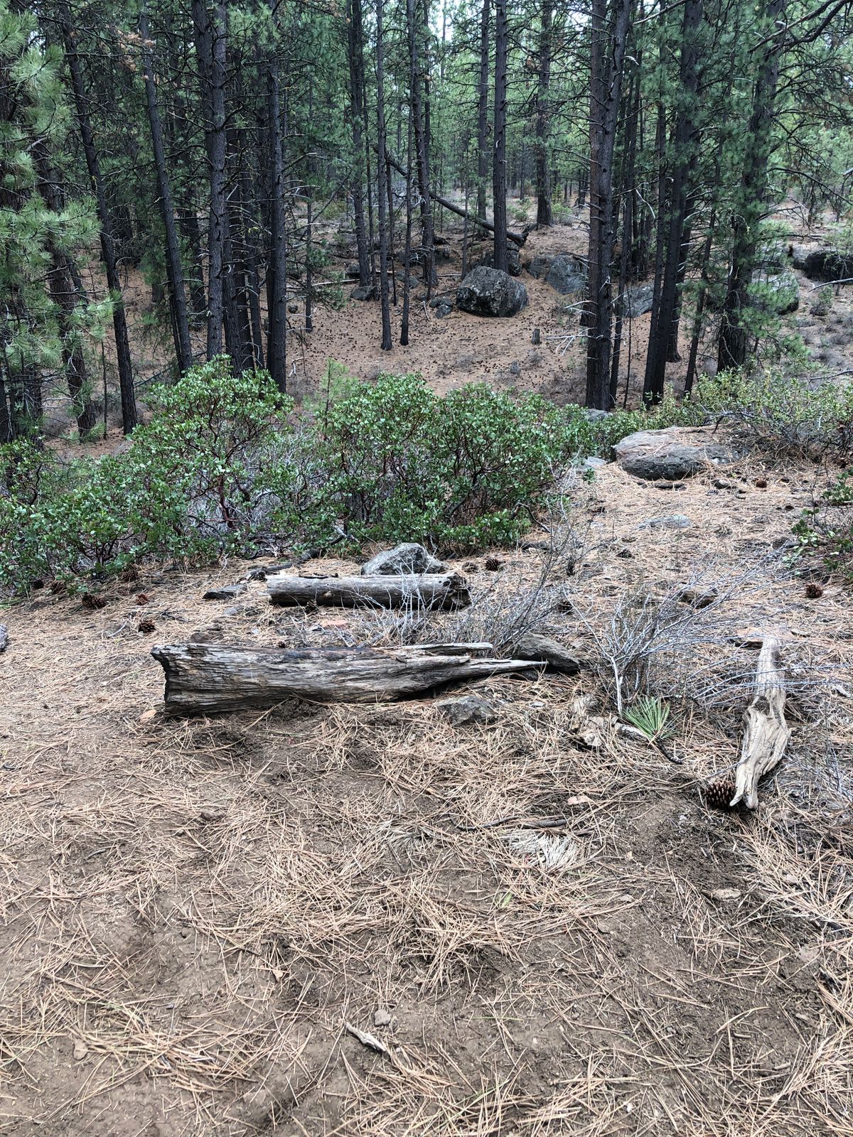 Upper teepee on hole 1