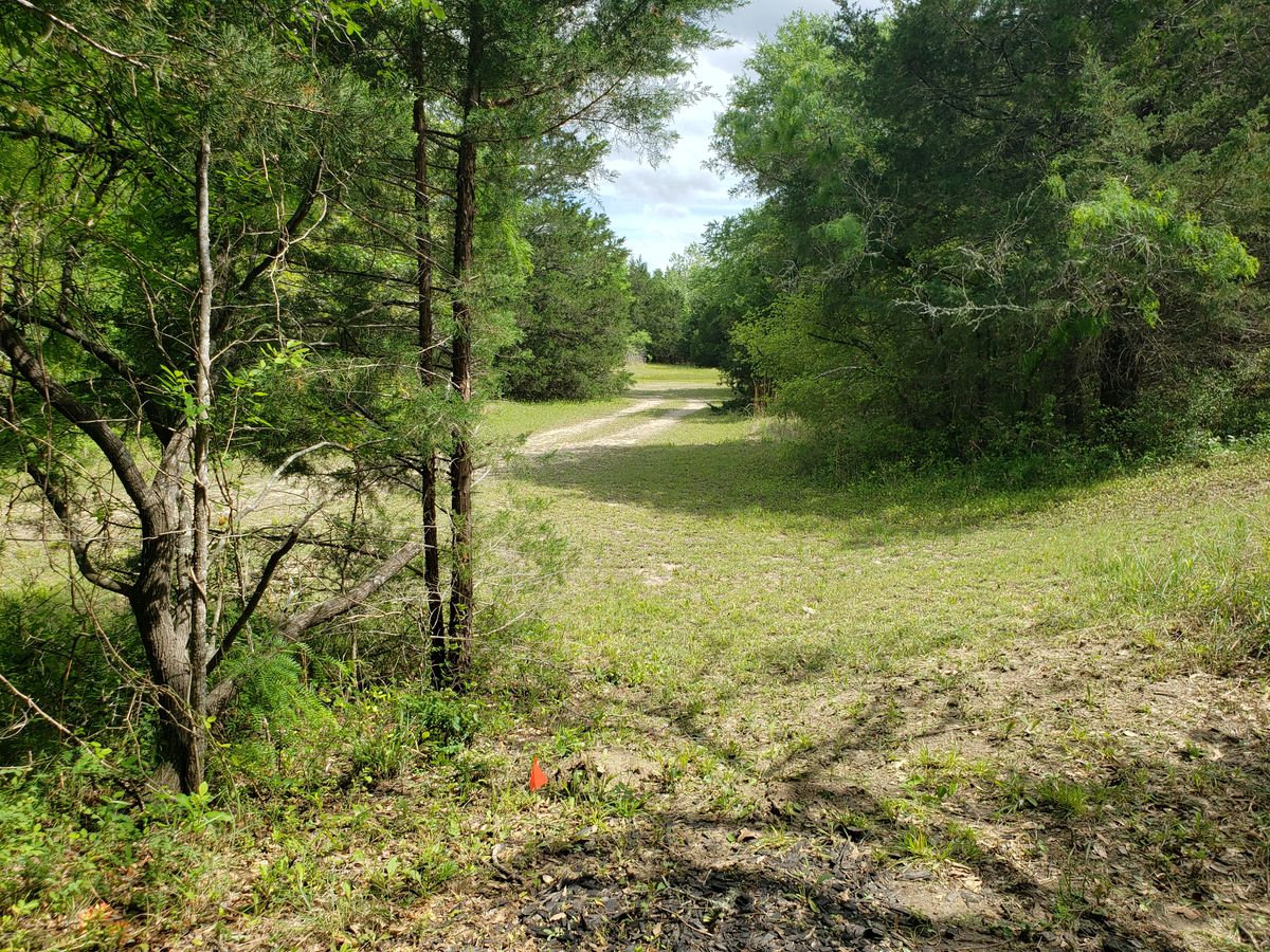 Hole 4 shoet tee box