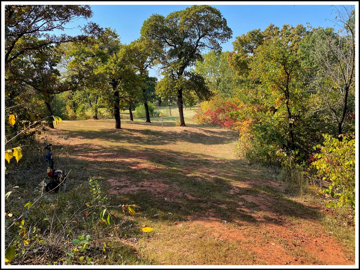 #4 fairway looking west towards basket from crest of hill- same spot