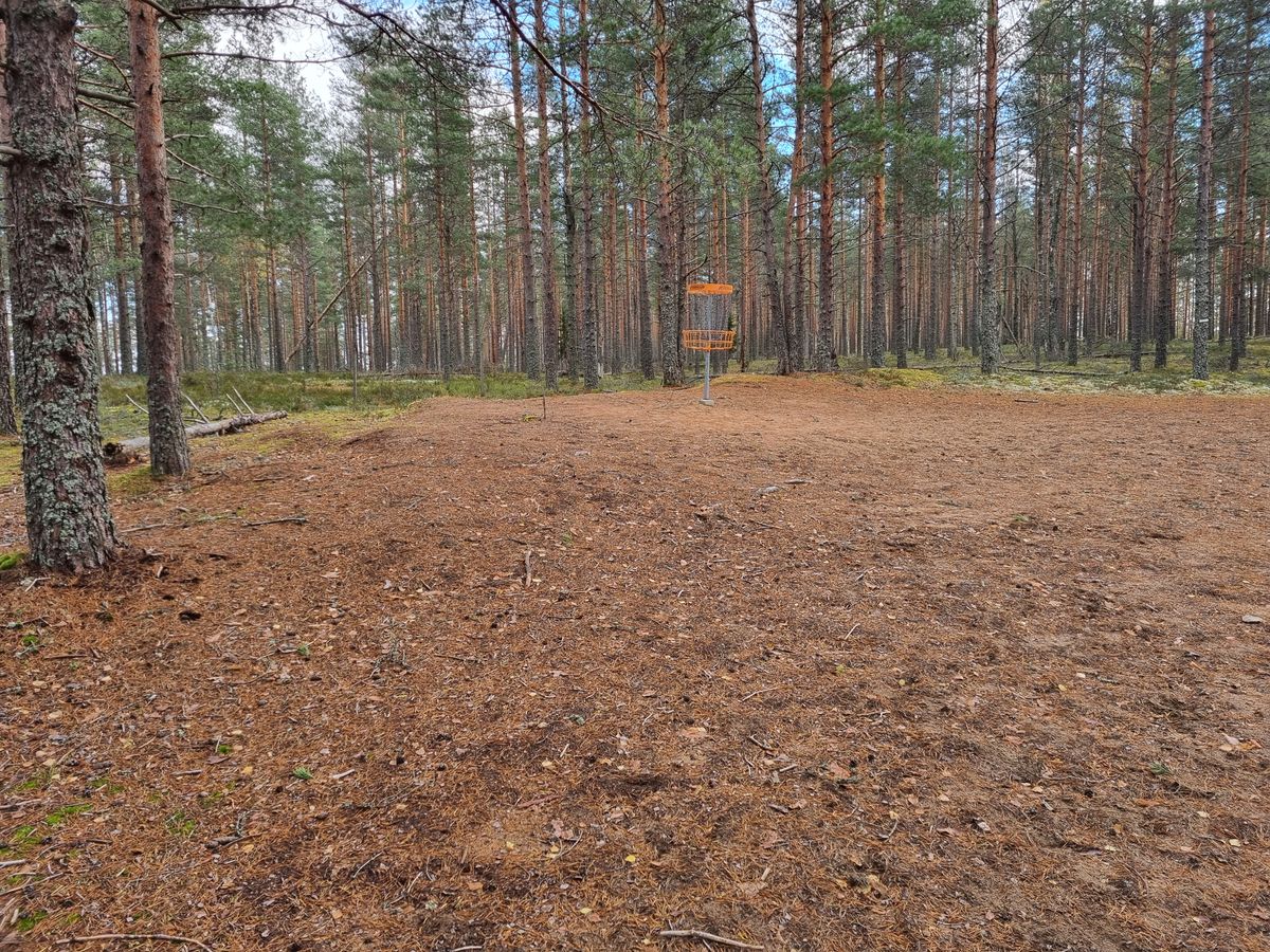 Korinäkymä