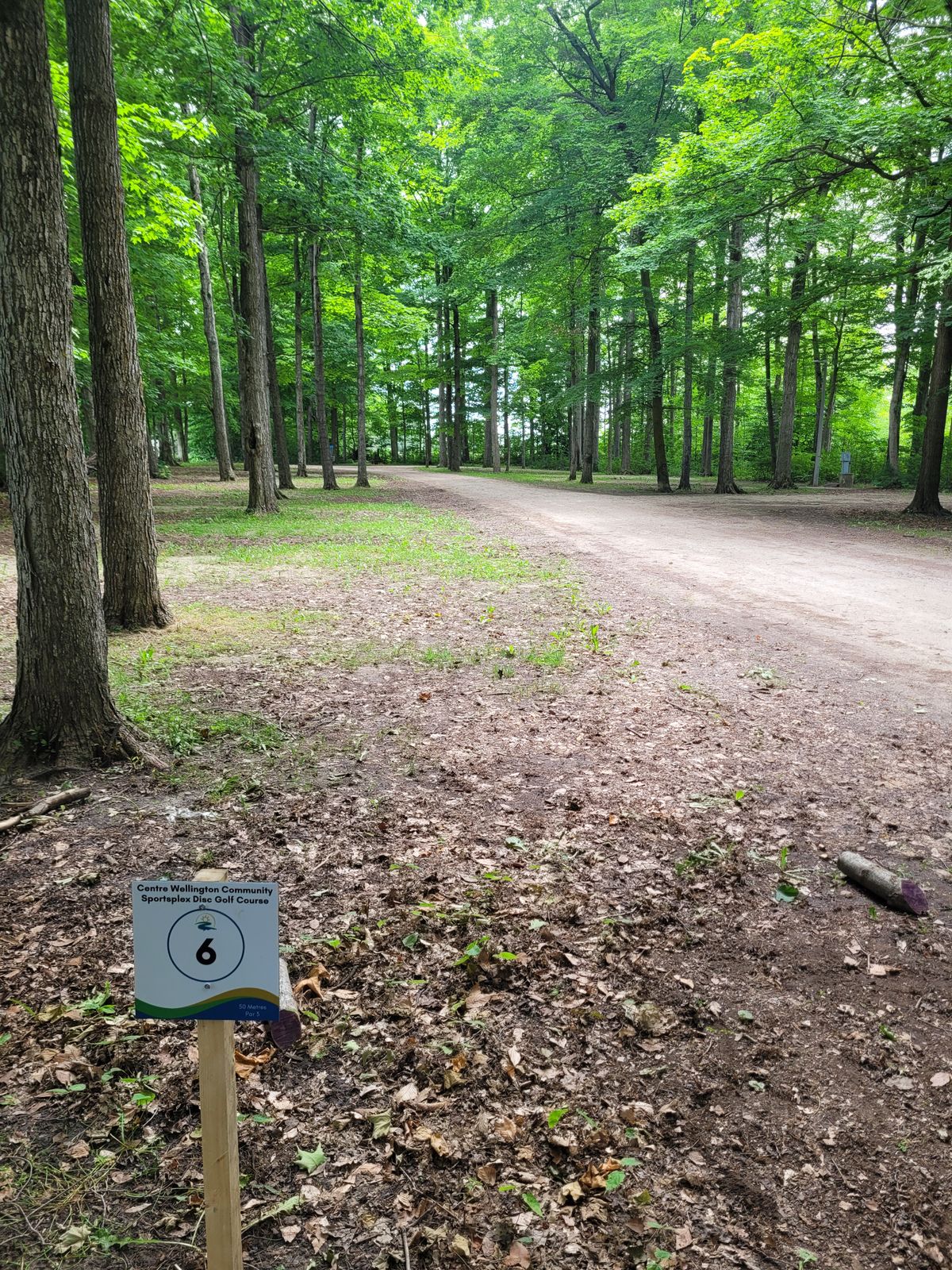Tee + Hole #6