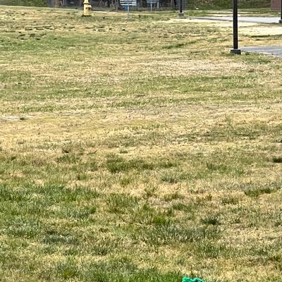 Hole 1 by the fire hydrant