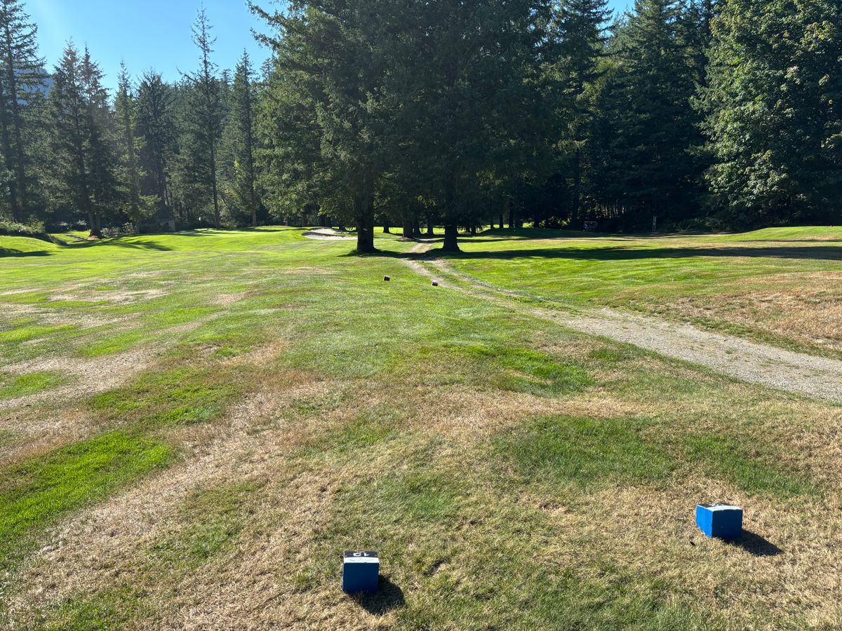 Hole 12 blue tee pad double mando between the 2 trees.