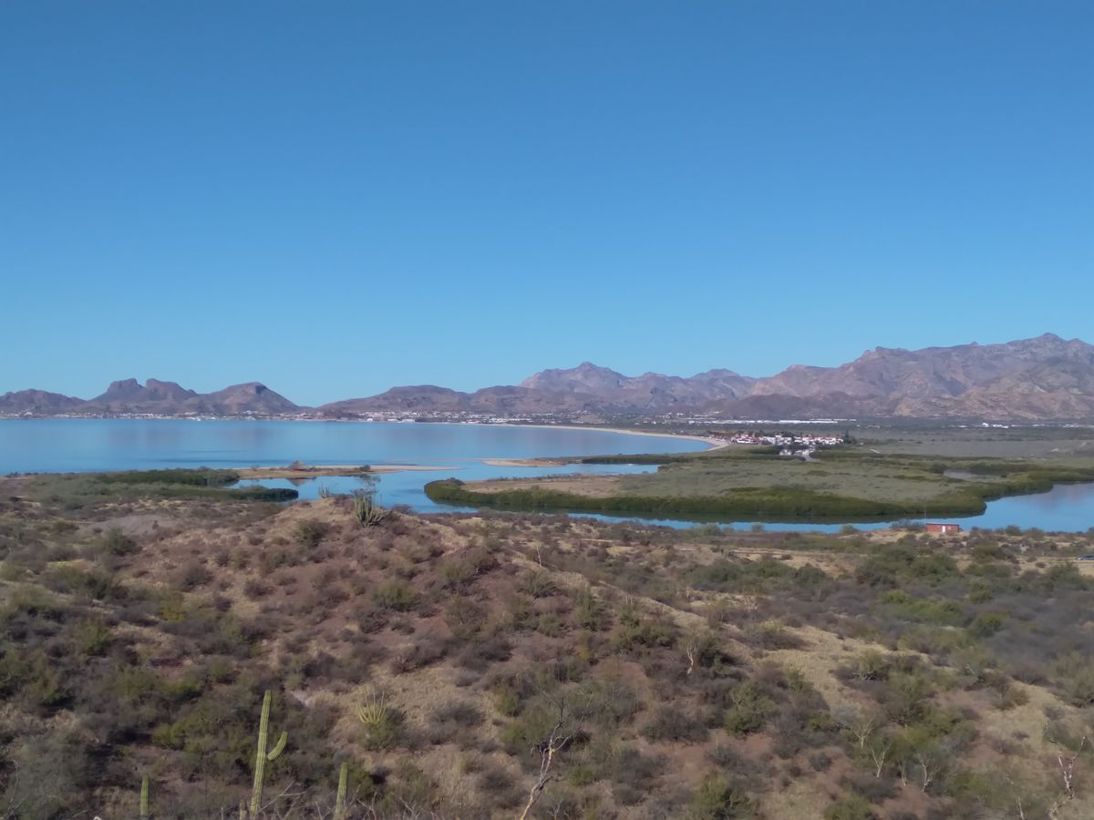 The Sea of Cortez