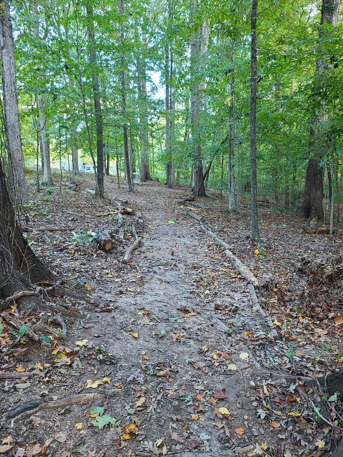White basket off to the left from my disc; blue basket barely visible through the trees to the right of my disc