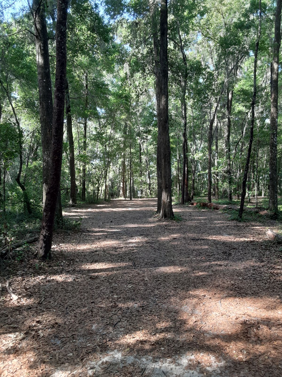 Hole 3 fairway