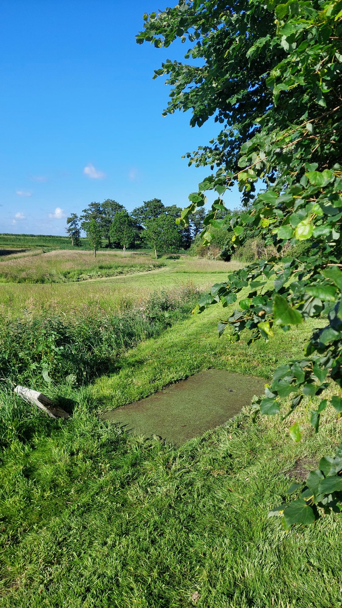 Hole 4 from red 5 tee