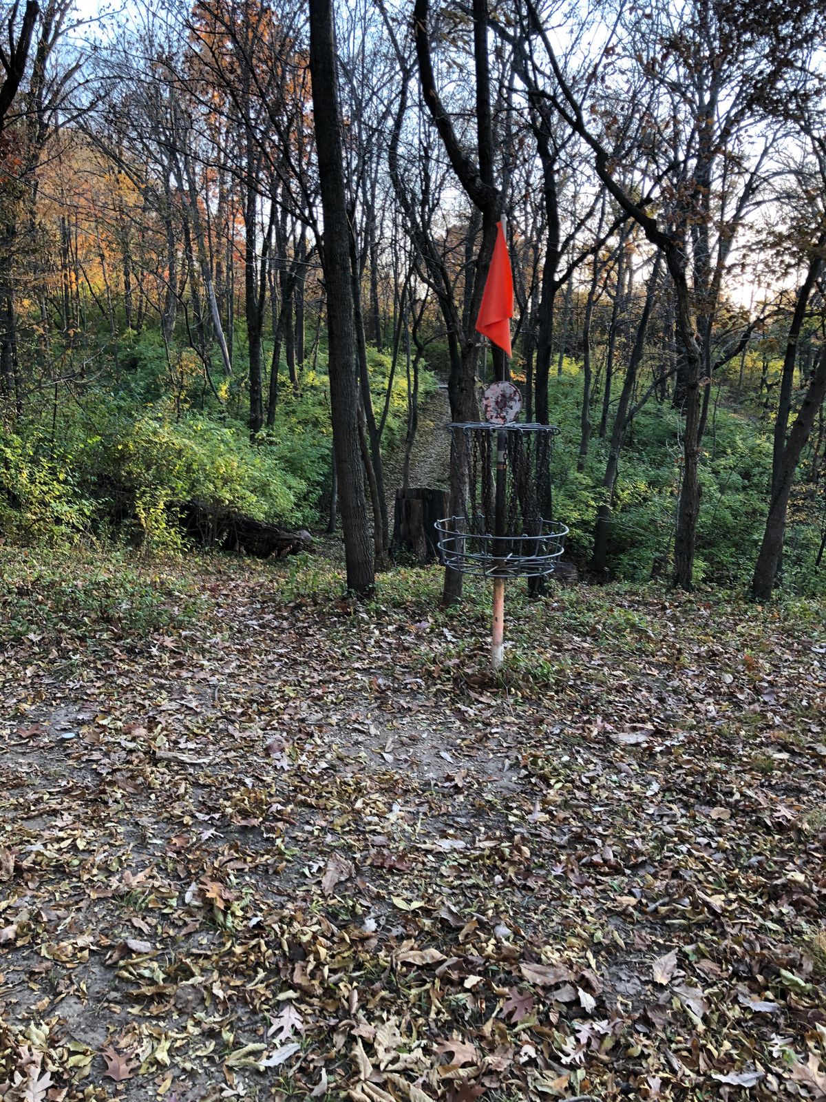 The “Knotty Hole”