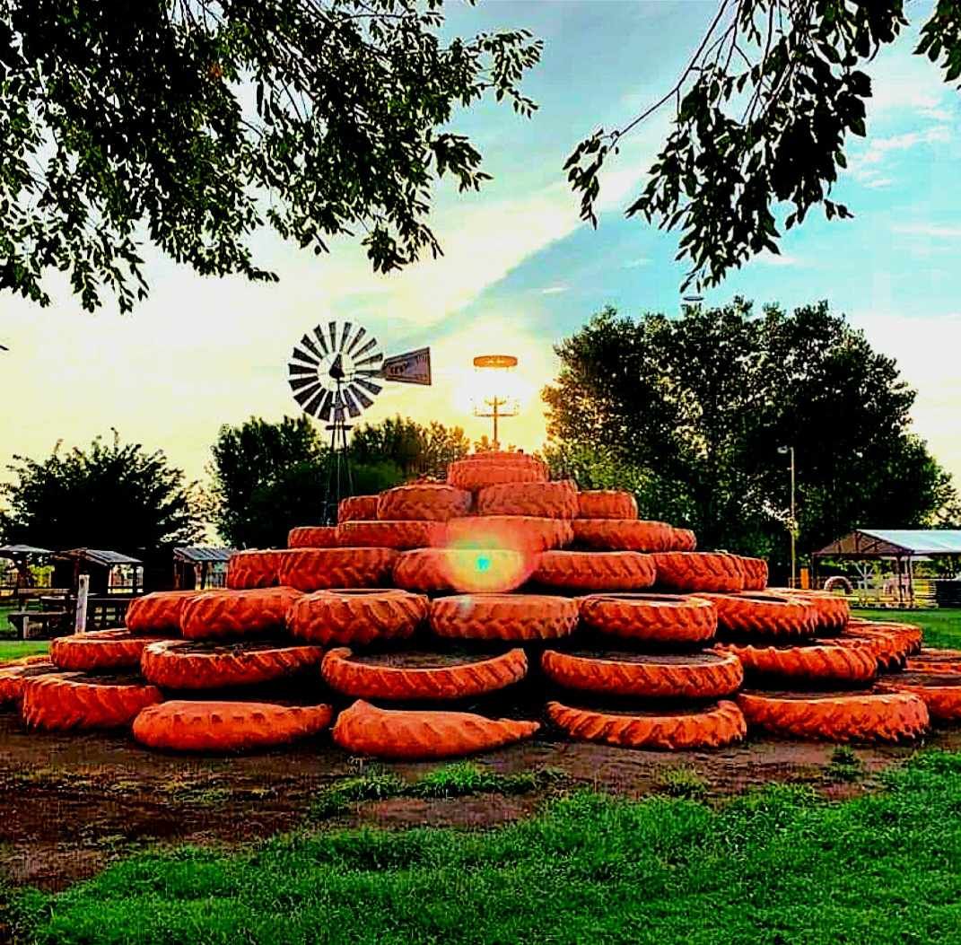 Mesilla Valley Corn Maze