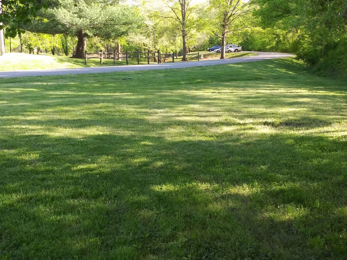Hole 4