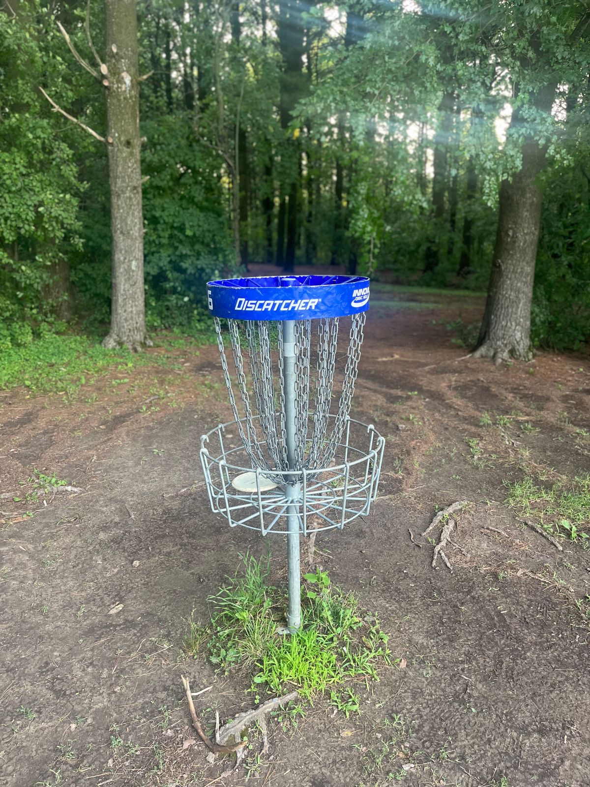 Basket on blue 6